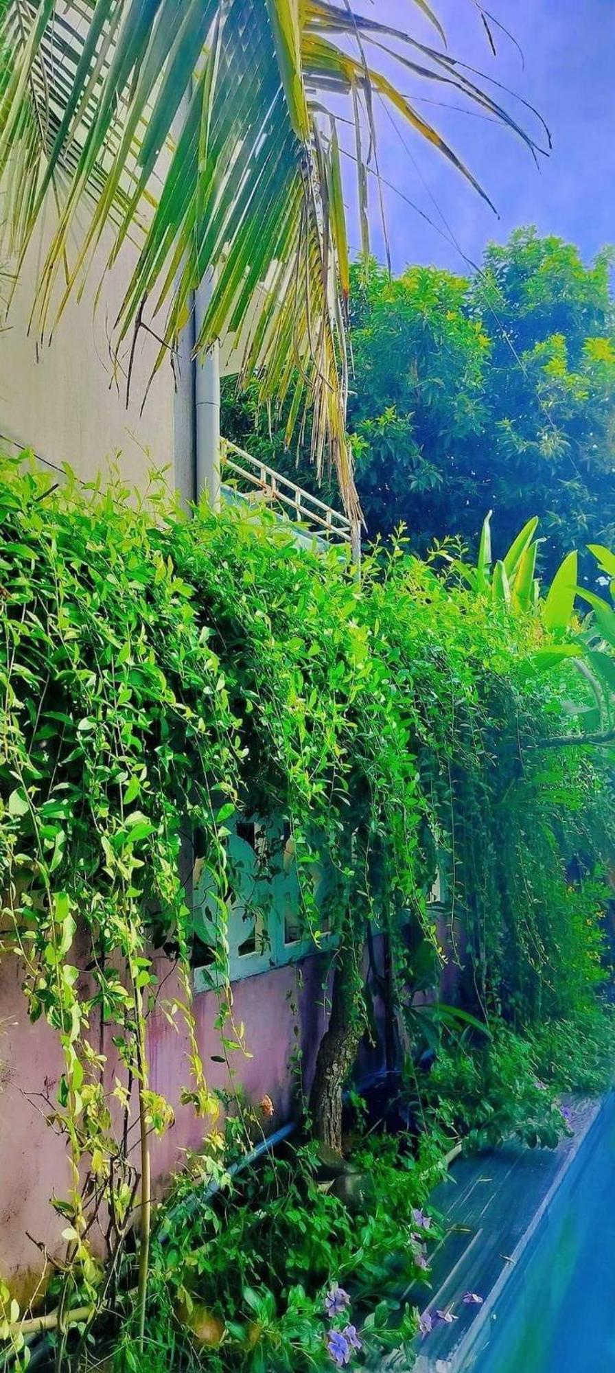 Hoi An Mountain House Villa ภายนอก รูปภาพ